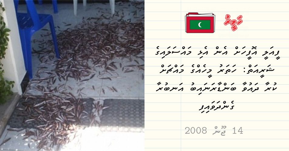 ArchiveCurator's tweet photo. On this day 11 years ago.
ފީއަލީ އޮފީހަށް އެން އެޅި މައްސަލައިގެ ޝަރީއަތް: ހަތަރު މީހެއްގެ މައްޗަށް ކުރާ ދައުވާ ބަންޑާރަނައިބު އަނބުރާ ގެންދަވައިފި https://t.co/eJabKqFrNO
-------------
For more articles visit https://t.co/rOPsBGTUvO https://t.co/R1gGcz4NCh