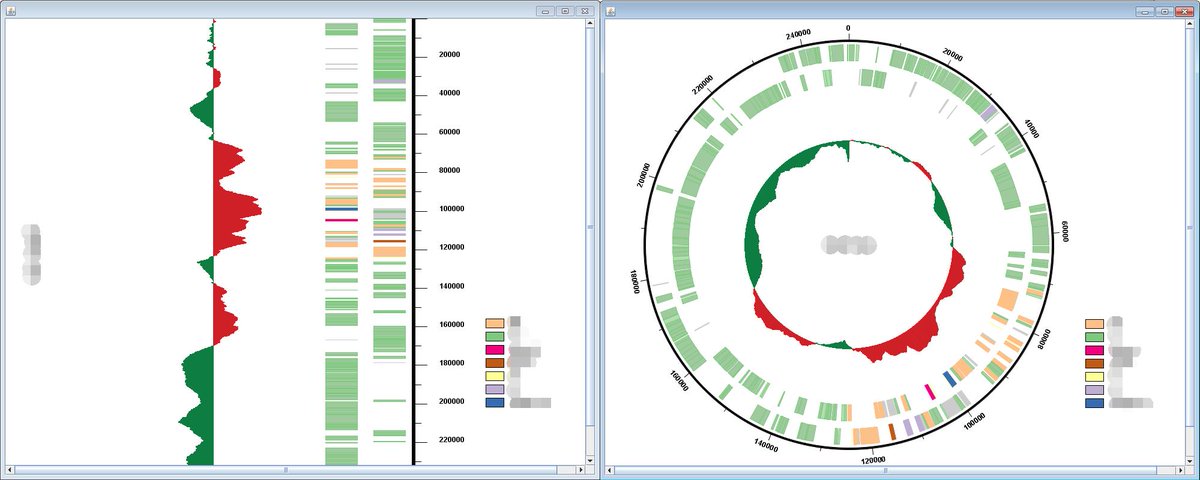 c_jchen's tweet photo. #TBtools  could also be used to make Circos plot for Micro-Organism genome or plasmid directly with a ,gbk file as input. https://t.co/IrovlOmmPc