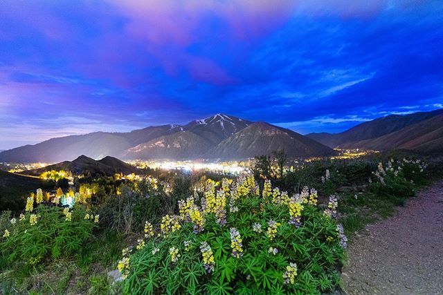 oliverguyphoto's tweet photo. Lavender Skies
.
.
.
.
.
#sunvalley #seeksunvalley #idahodaily #idahomeshop #weknowidaho #nature_brilliance #EarthVisuals #artofvisuals #welivetoexplore #natureaddict #naturediversity #neverstopexploring #longexposure_shots #agameoftones #night_shooterz … https://t.co/D8k5S5Un9p https://t.co/PfwVSCOOEm