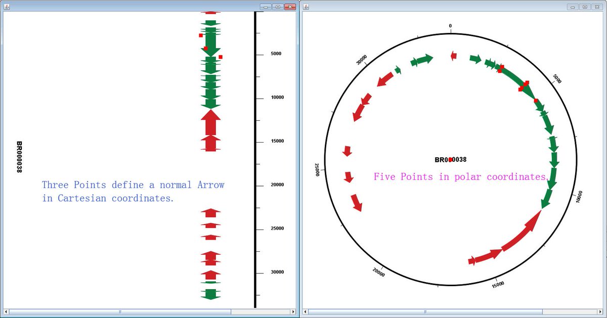 c_jchen's tweet photo. #TBtools  could also be used to make Circos plot for Micro-Organism genome or plasmid directly with a ,gbk file as input. https://t.co/IrovlOmmPc