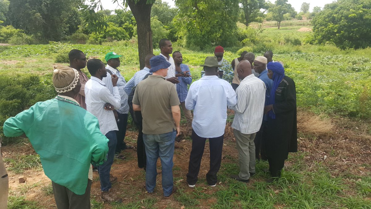 bisangare05's tweet photo. N'GORONGODJI (Cercle de Kati): test #AkvoFlow dans le barrage seuil avec la structure AHT
@AkvoWestAfrica est aussi dans l'irrigation https://t.co/mmRfvSuAbE