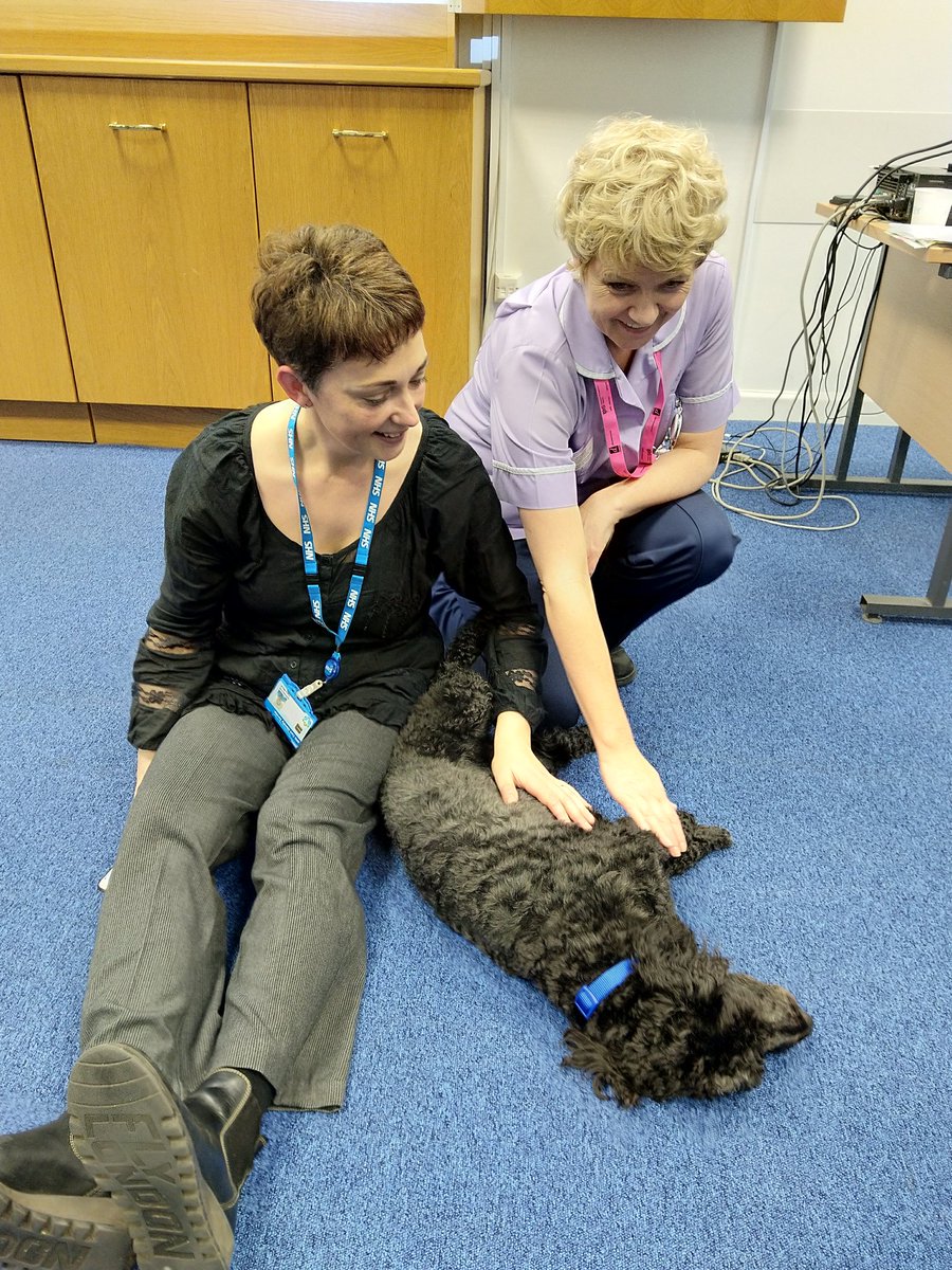 Pets as therapy at #chftnhs 😁❤️