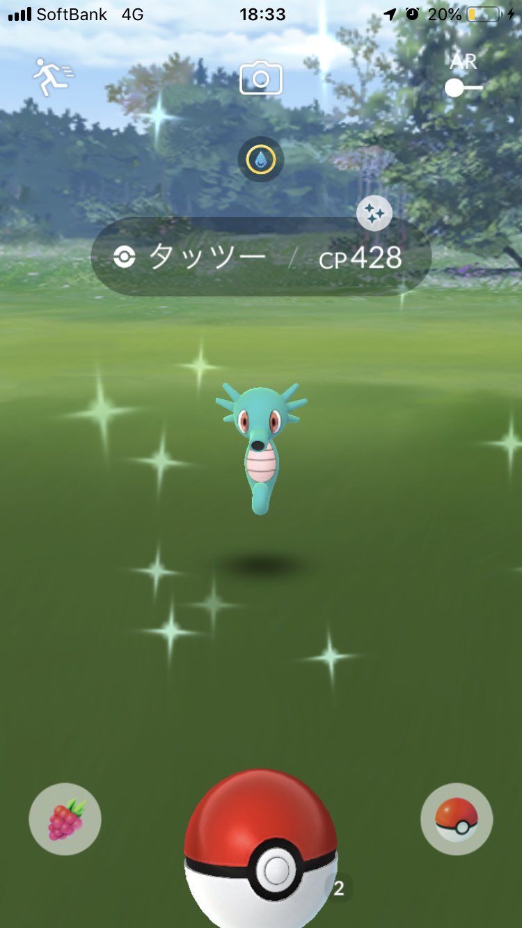 バリ 今日1日やったけど色違いはこれだけ ポケモンgo タッツー T Co 5nxyzbwuqe Twitter