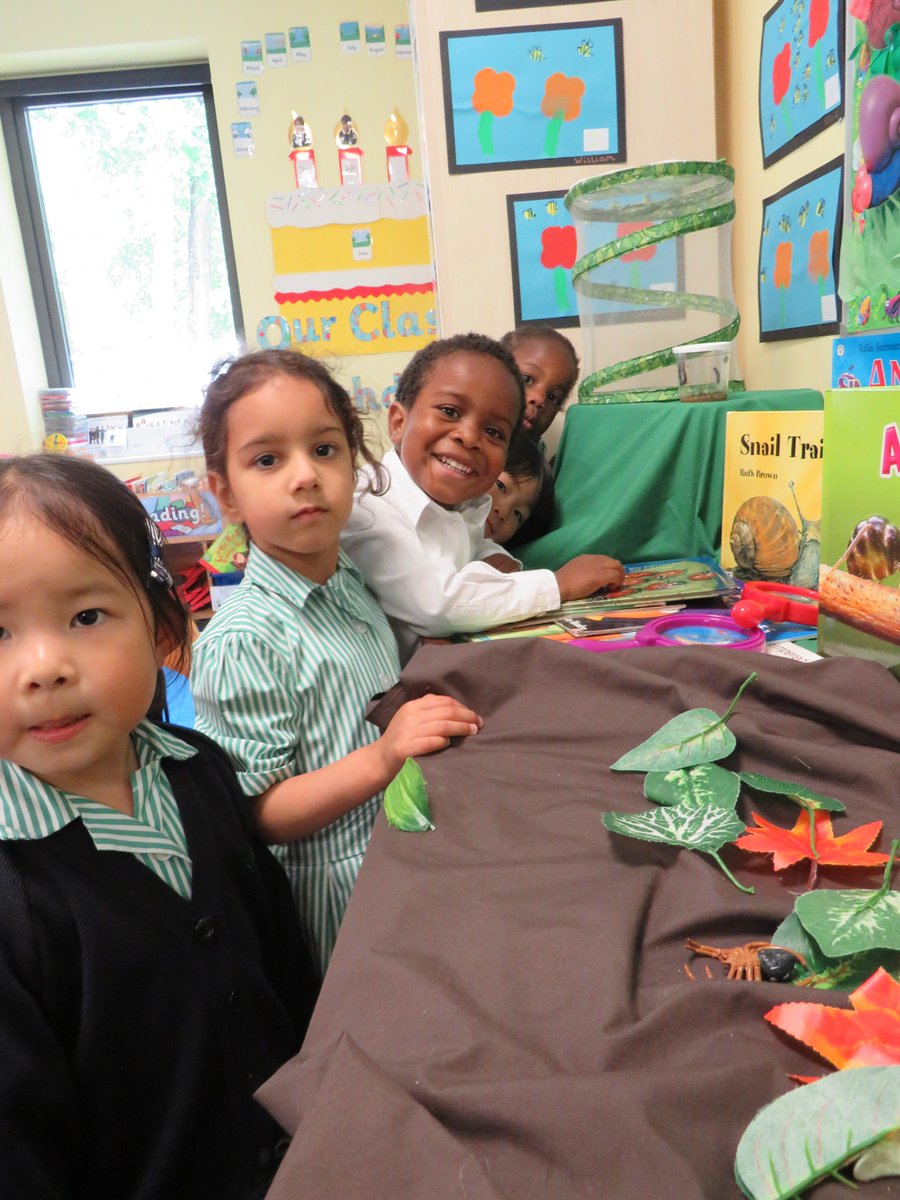 DerbyHighSchool's tweet photo. Our pre-school children are observing caterpillars as they transform to butterflies in their classroom. We can't believe how much the caterpillars have grown in just a short time! https://t.co/aEc8WqxvqN