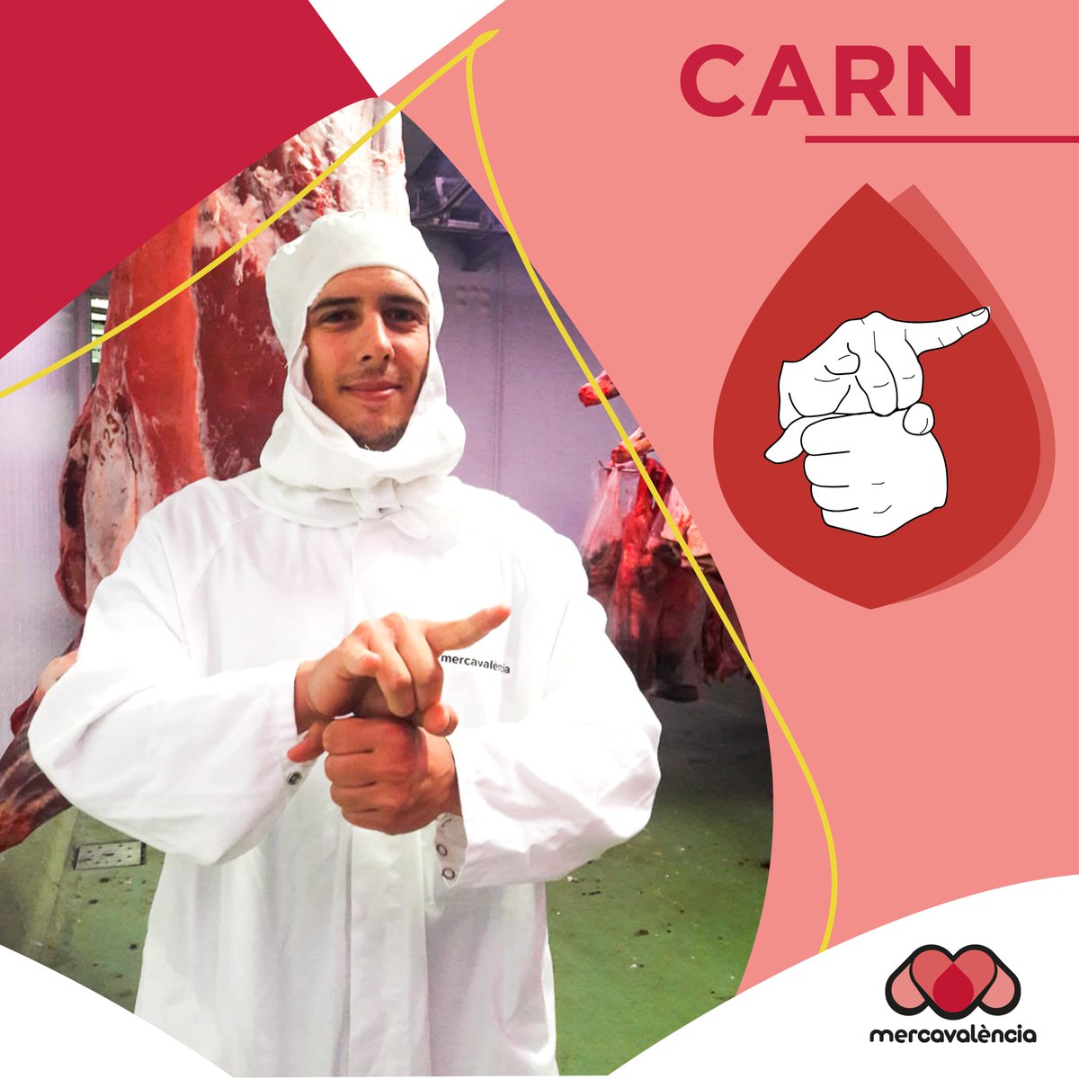 💪 Ens ajudes a que les xarxes és plenen de signes? 🤝Envia 📸la teua foto o vídeo parlant la llengua de signes👌 puja-ho al teu perfil i etiqueta a 👉 
<a href="/jovesordcv/">JOVESORD CV</a> i utilitza els següents hashtags!⬇️
#arallenguadesignes #YoconlaLS #marcaladiferencia