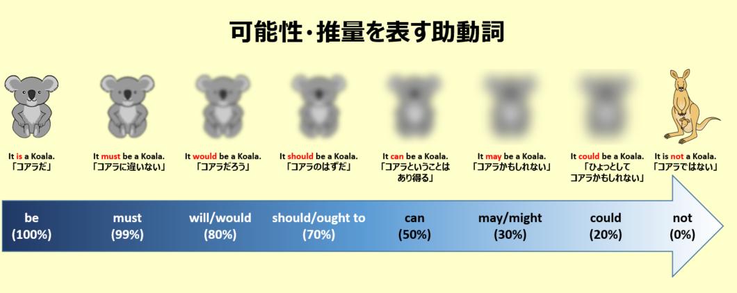 こあたん こあらの学校 英語の時間 保存版 可能性 推量を表す助動詞