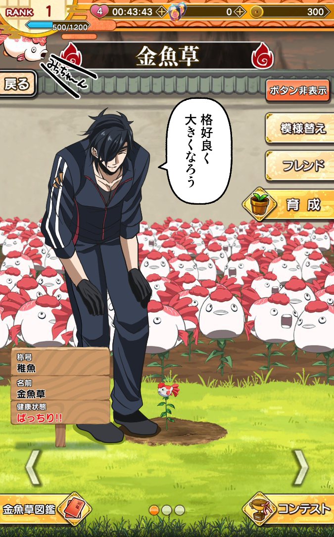 よーちん 私の脳内金魚草育成画面 W みっちゃんが常にいるんだ 金魚草の泣き声も みっちゃん って聞こえて来るんだ 重症ｗｗ