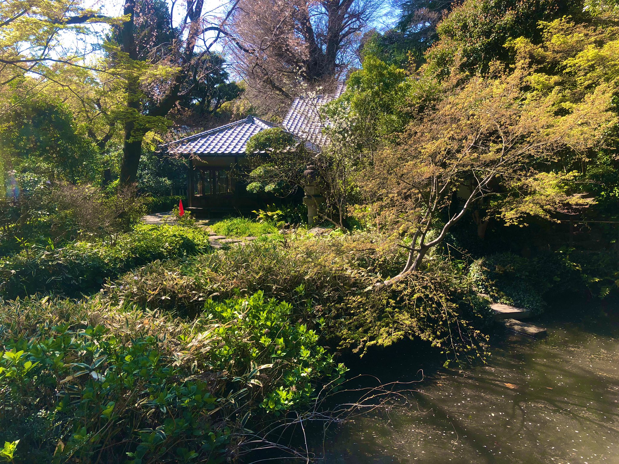 日本庭園メディア おにわさん 中の人 関口芭蕉庵 また同資料によると 芭蕉庵はこの台地の上に建つ明治期の有名政治家の一人 田中光顕伯爵 の邸宅 蕉雨園 の一部だった時代もあるそう 確かに 現在の園内マップの上部には蕉雨園への園路が描か