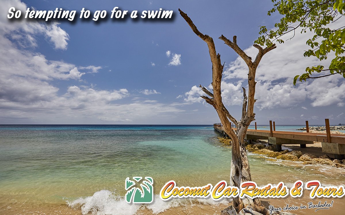 Just north of Speightstown.  What a view.  #barbados #explorebarbados #ocean #pier #sea #sky #trees #beach