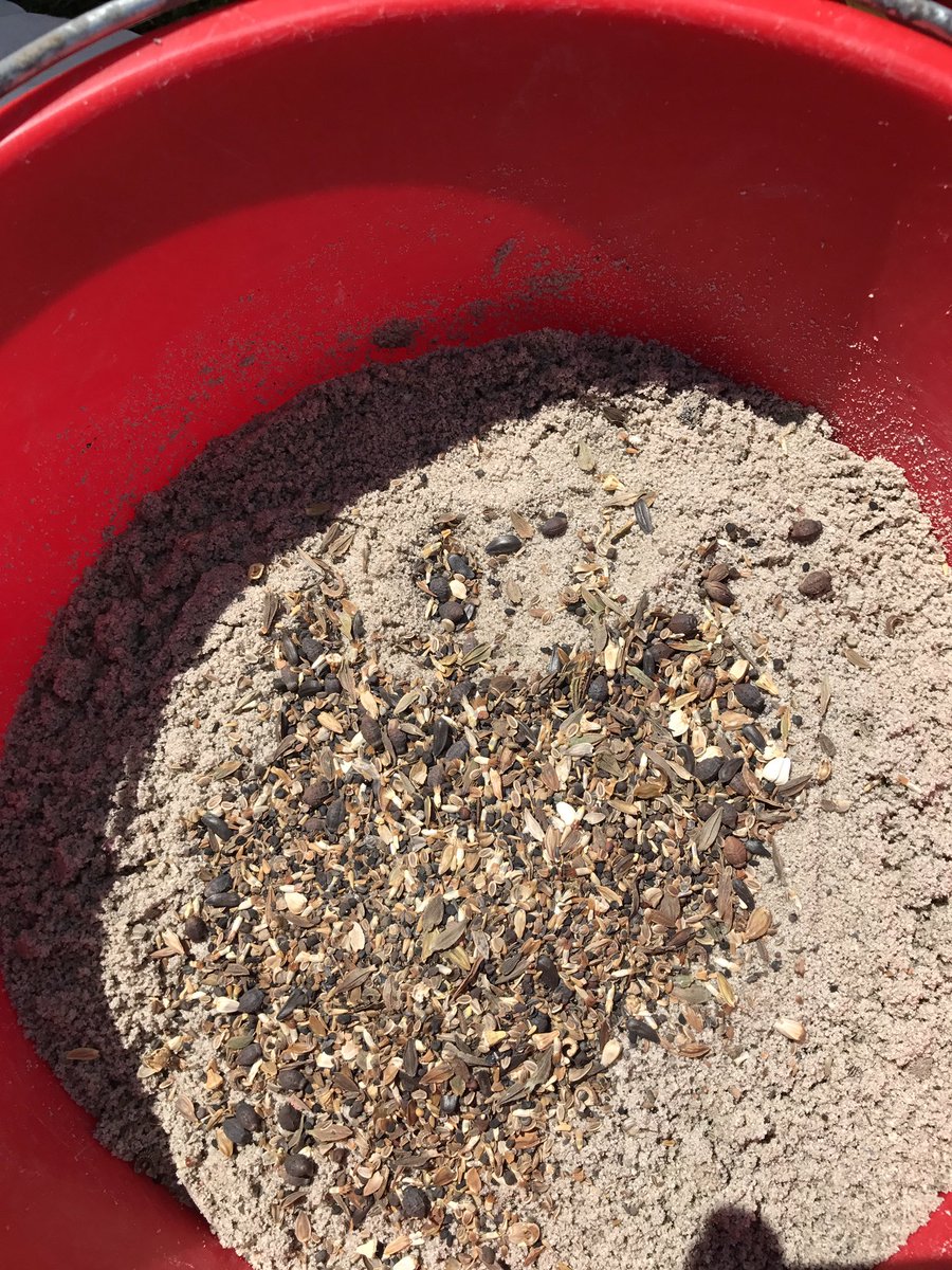 Inzaai veldbloemendemo bij Gramefo Graszoden Eemnes voor de Demodag Hoveniers op 25 september 2019 🥀🌷🌸