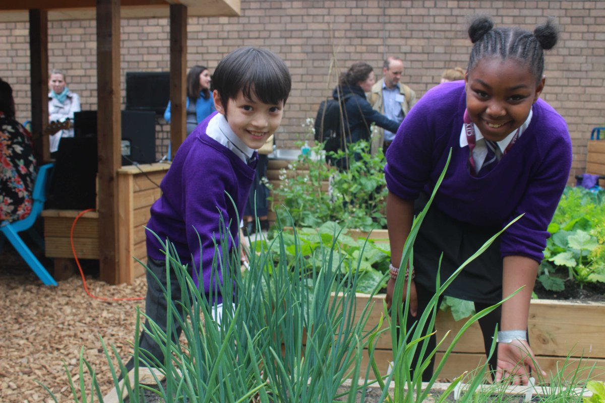 IslingtonTrib's tweet photo. Country in the city: Nature waits inside Finsbury school gates thanks to new eco space
https://t.co/TR4Ts1Gc5R https://t.co/k92yI4uAbs