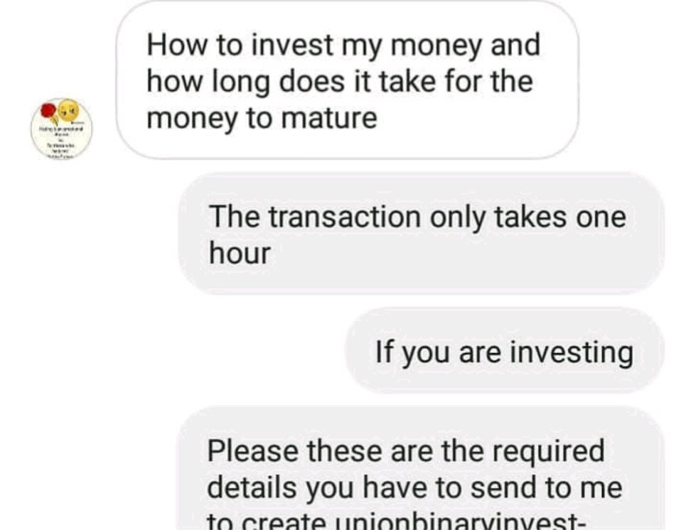 MusaAgent's tweet image. 