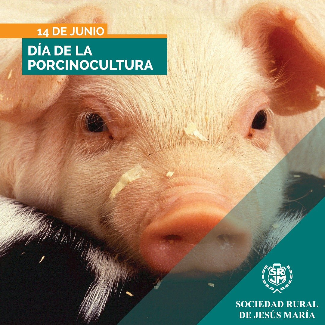 srjmcba's tweet photo. 14/6: DÍA DE LA #PORCINOCULTURA 🐖
👉Sabías q la carne d cerdo tiene + beneficios d los q pensamos? Por su contenido proteico, ayuda a disminuir el cansancio, y sus minerales contribuyen al funcionamiento d los músculos
👉Desde @srjmcba saludamos a todos los productores porcinos! https://t.co/CL2pCuLSfY