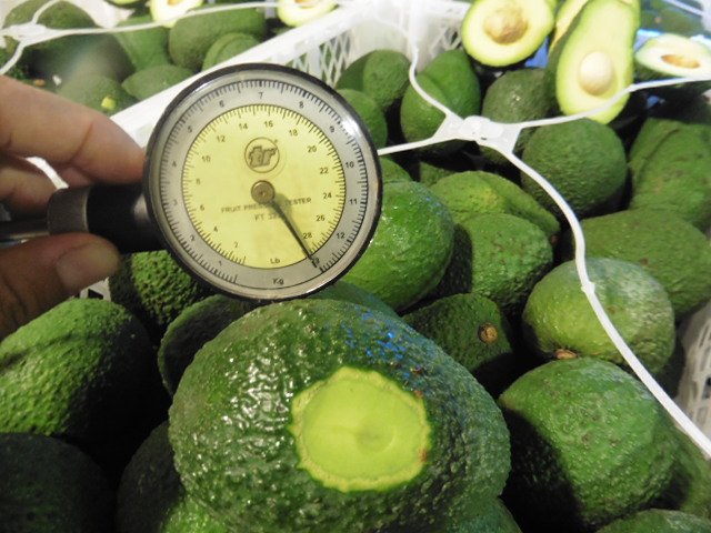 Control Union España (@controluniones) on Twitter photo Control Union España empezó a proveer servicios de inspección de calidad y cantidad en los embarques de frutas y hortalizas. El servicio está disponible en toda España. Contactanos! hortifruta@controlunion.com
#fruta #controlunionespanha #controlunionspain #spain #inspections Control Union España empezó a proveer servicios de inspección de calidad y cantidad en los embarques de frutas y hortalizas. El servicio está disponible en toda España. Contactanos! hortifruta@controlunion.com
#fruta #controlunionespanha #controlunionspain #spain #inspections