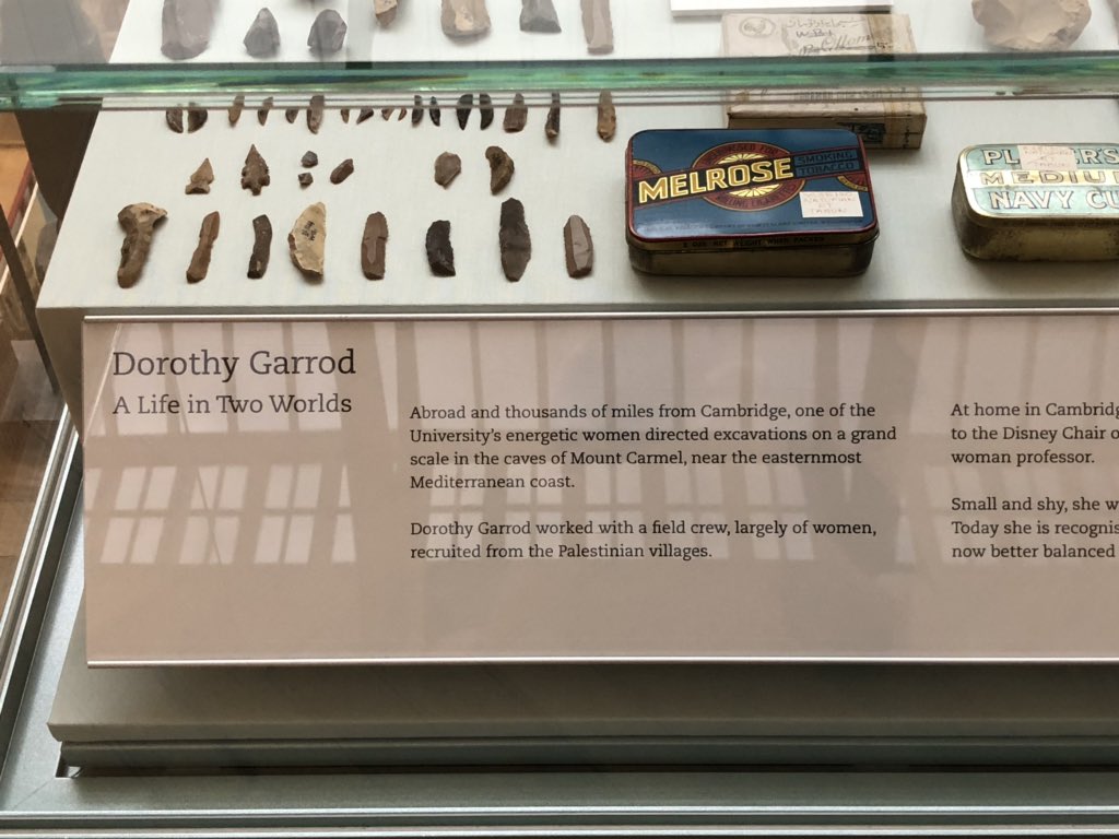 OliverTimmis's tweet photo. @AKUSociety just been to the the Cambridge museum of archeology and seen an exhibit on Dorothy Garrod - she was the first female professor and daughter of Archibald Garrod who discovered AKU! https://t.co/hURwIF4bHG