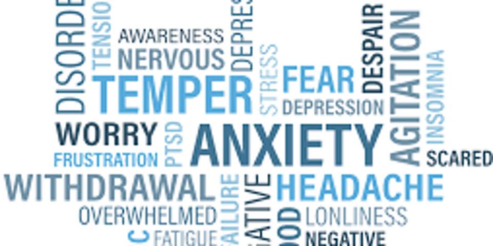 Mental Health can tend to slip down the list of concerns for employers so make sure YOU are able to support your employees! <a href="/opal_people/">Louise McGeady</a> &amp; <a href="/wellnessni/">Wellness Consultant</a> are offering a FREE discussion on signs to look out &amp; how to offer practical support &amp; intervention. bit.ly/31zhwjK