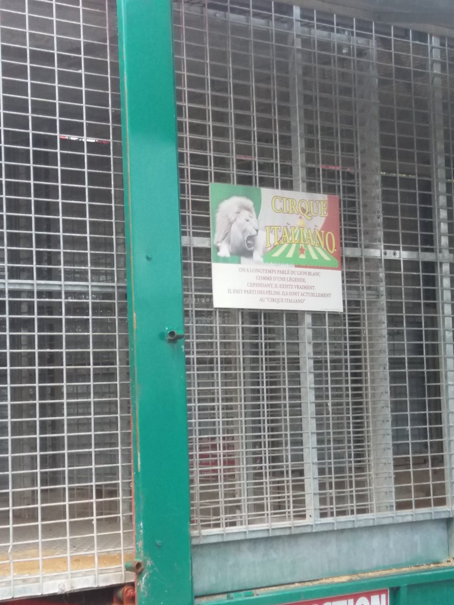 fl_pcn's tweet photo. Ça se passe à @Auchanleers, c'est un scandale ! Un cirque vient de s'installer sur le parking avec des pauvres lions (squelettiques) couchés sur de la paille et enfermés dans une minuscule cage pour que les passants les "admirent". STOP aux cirques avec animaux. STOP à l'horreur. https://t.co/KspyJXobhY