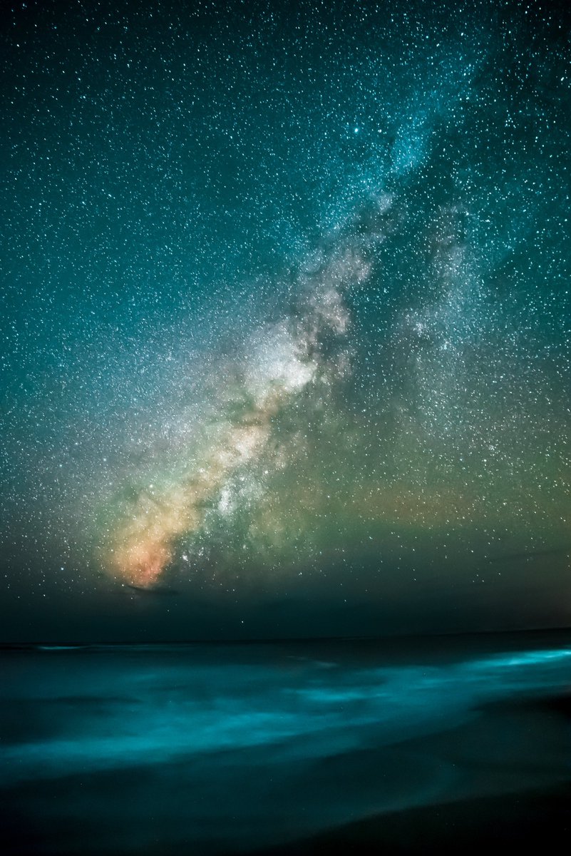 evasionspirit's tweet photo. 📍Ciel étoilé à Waimea sur la côte nord de l'île d'Oahu à #Hawaii, archipel paradisiaque au cœur du Pacifique. 🤩💫✨#Paradise #island #milkyway #voyage #Pacific 

photo: casey horner

➡️https://t.co/UtcqYRGEmm https://t.co/LZbf297C27