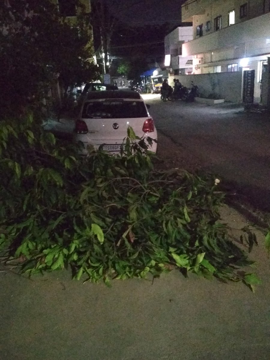 VBAwesome's tweet photo. People from the electricity board cut many tree branches in Sainikpuri.Precautionary steps taken before monsoon but
1. This was done without informing the owners. 
2. The broken branches were left on the side.

Who's responsibility is it to get these removed? @TsspdclCorporat https://t.co/1hOZ99bcU4