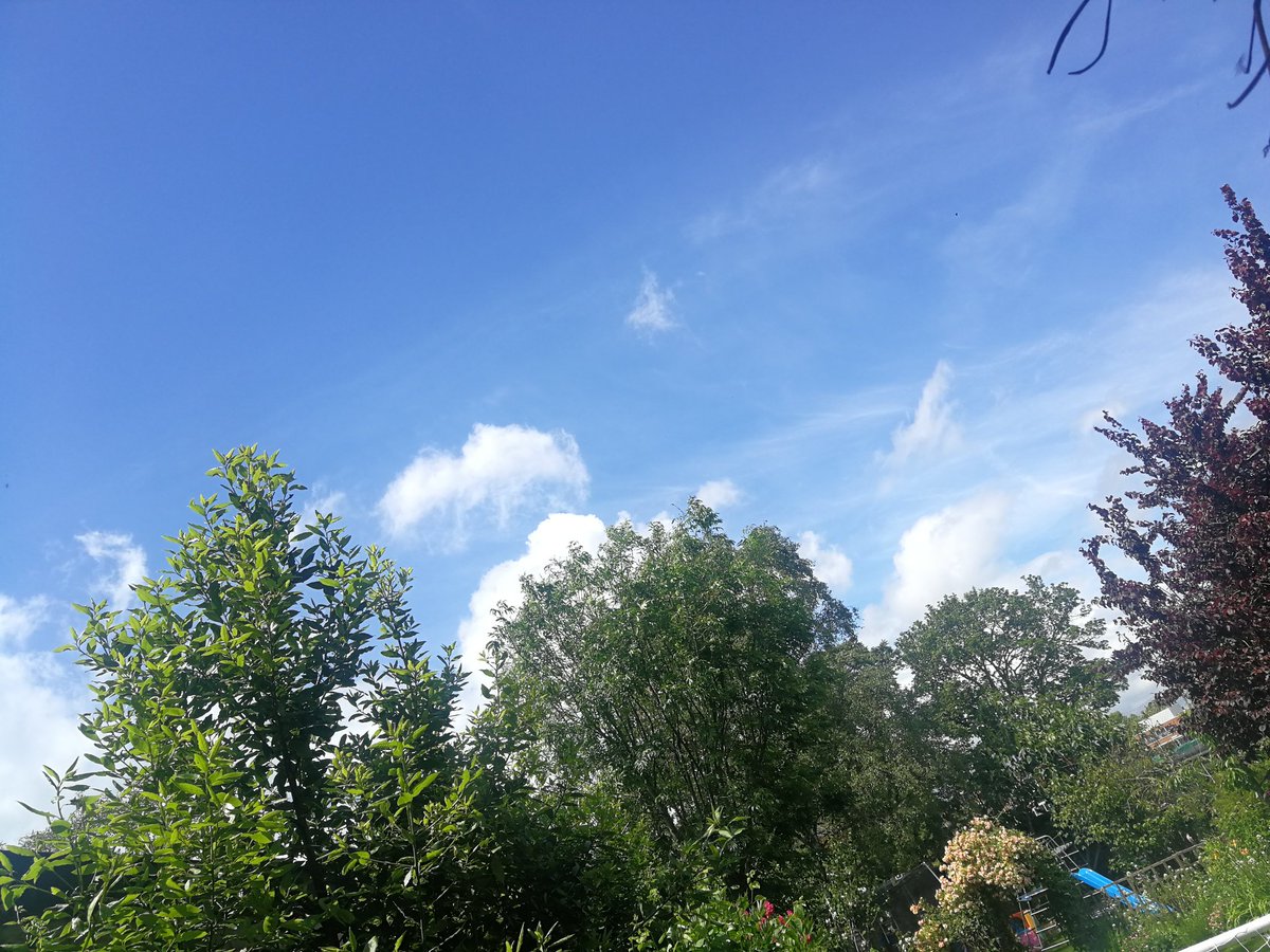 ThirstyCamb's tweet image. Just spotted above Cambridge at 1.20pm. Looks like we might be in with a chance at #biergarten2019 tonight! Find us behind @MackayCambridge from 6. Kids, dogs &amp;amp; goats all welcome. #whatsummer
