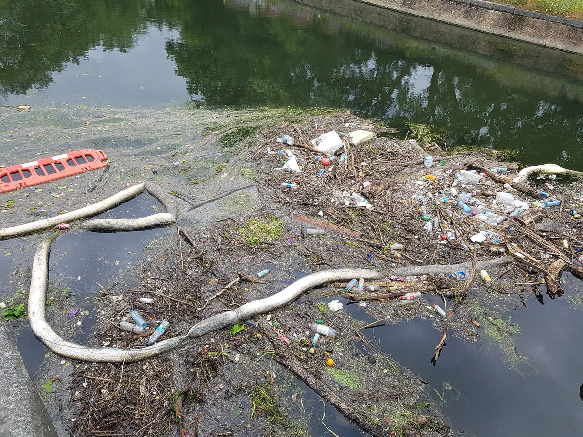 DobbyWoods's tweet photo. @leaboaters @CanalRiverTrust @hackneygazette @MooCanoes @LDNWaterkeeper @Feargal_Sharkey @Thames21 @StonebridgeLock At Lea Bridge Road. Complete with useless BOOM!! https://t.co/jL7xfvlLgL