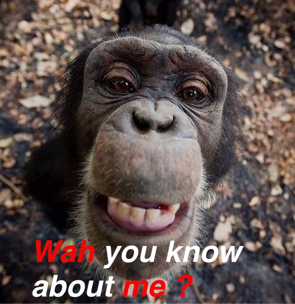 kibwe copeland (@kibwecopeland) on Twitter photo 