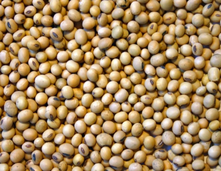 Mohamed Kagnassy officiel tweet media