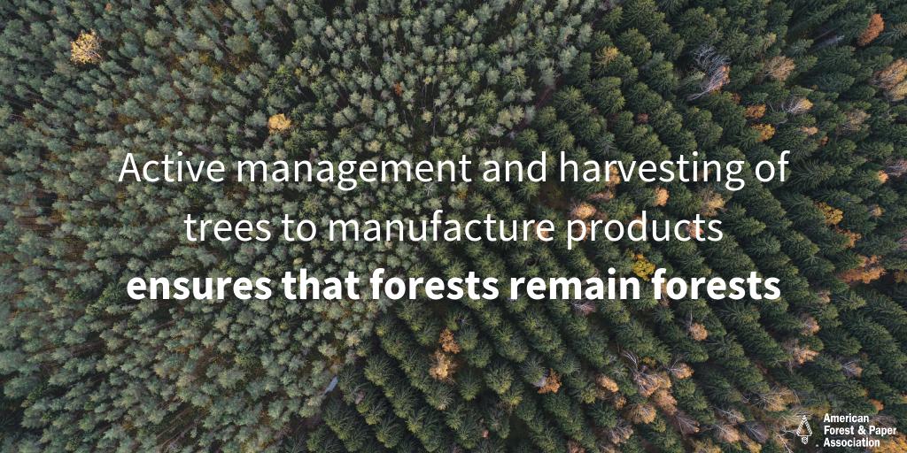 ForestandPaper's tweet image. Without a market for trees, privately-managed forestlands would likely be sold or used for other economic purposes. #ForestProud