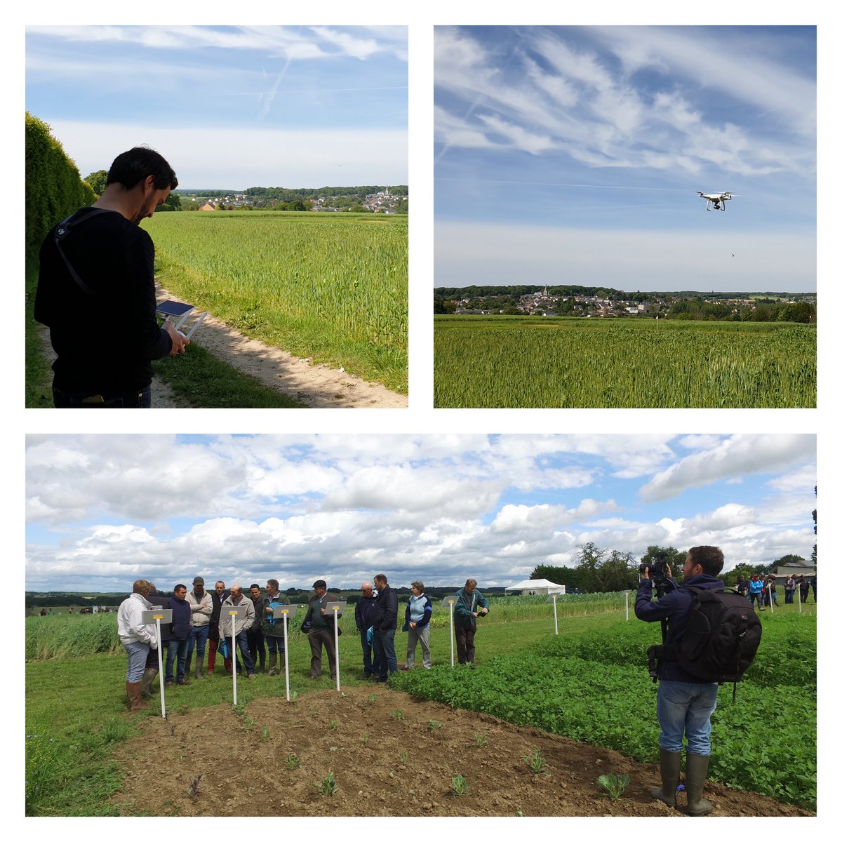 SYDORGaelle's tweet image. L&apos;équipe #ProClip #Angers était en tournage hier en Pays de la Loire pour la journée #Cultures 🌽 et #fourrages 🌱 #bio 2019 🚜 organisée par la @ChambagriPdL #drone #reportage #vidéo #soleil