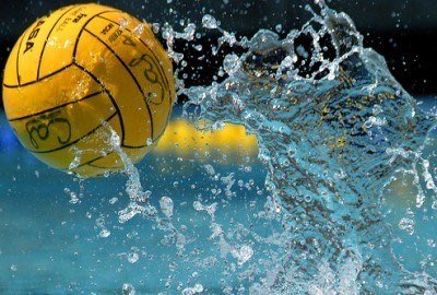 freya rodger tweet media