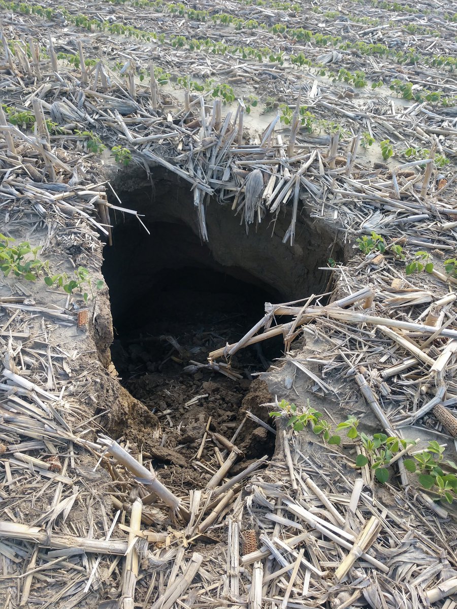 Jthiel84's tweet photo. Another wet spring, and it's showing! #sinkholecapitalusa #wellthatsnew #SafetyFirst https://t.co/BUBRWX0kTo