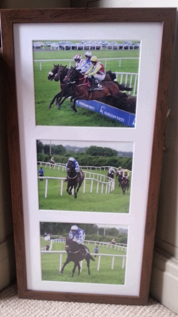 jeremysykes60's tweet photo. Robin De Carlow winning at Kilbeggan montage #PrincessRobin https://t.co/EyInkpxHTR
