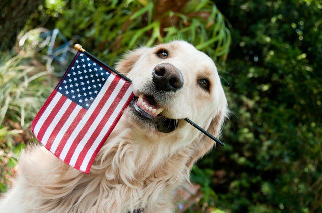 godfrienddme's tweet photo. Happy #flagday2019 #flagday #merica #standatattention #salute RT https://t.co/HhYIQ68jyz