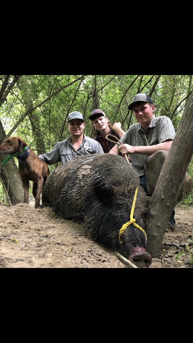 bryce98futral's tweet image. #Futralstock