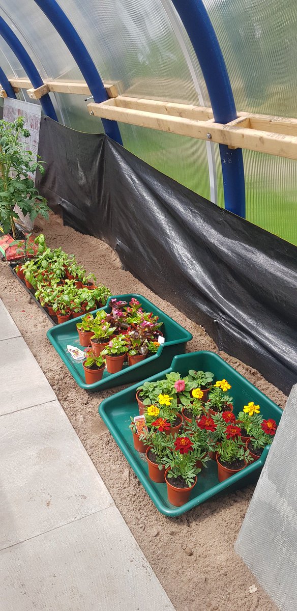 Parkhill375's tweet photo. Our official opening of our Poly Tunnel thanks to @Ivan_McKee for cutting our ribbon 😁 https://t.co/qsRMbL1WPO