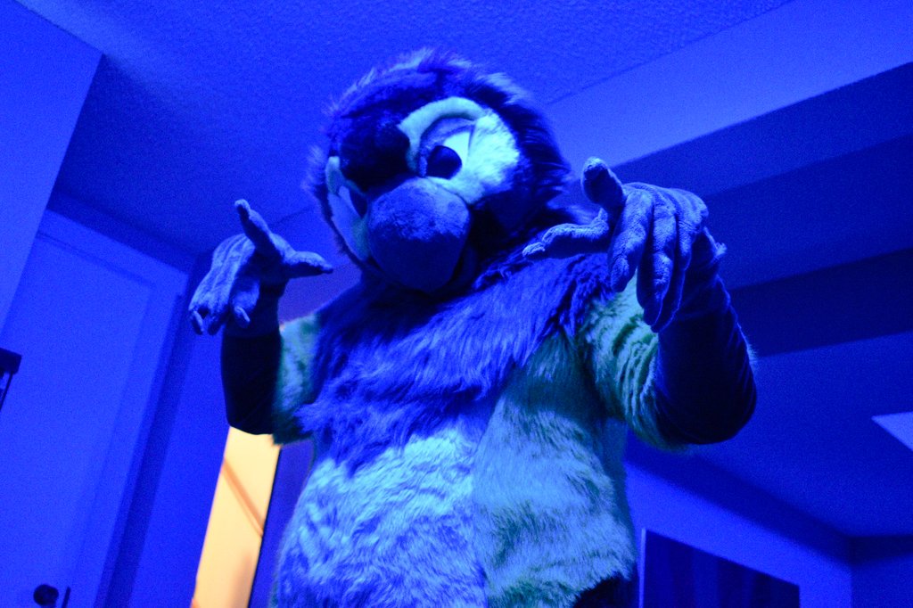 LakeMutt's tweet photo. A bit of a blue bird today

#FursuitFriday https://t.co/xMRqXH9Qe7
