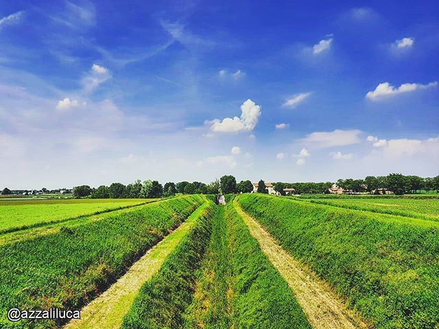 Nonostante l'afa e le zanzare... quanto è bello vagare per le strade di campagna in bici? 🚲

Qui siamo a Gussola, a voi dove piace di più scorrazzare nella natura?

Foto di <a href="/azzaliluca/">Luca Azzali</a>

Ricordate di taggare nei vostri scatti #igerscremona #weareigers… bit.ly/2FaKa17
