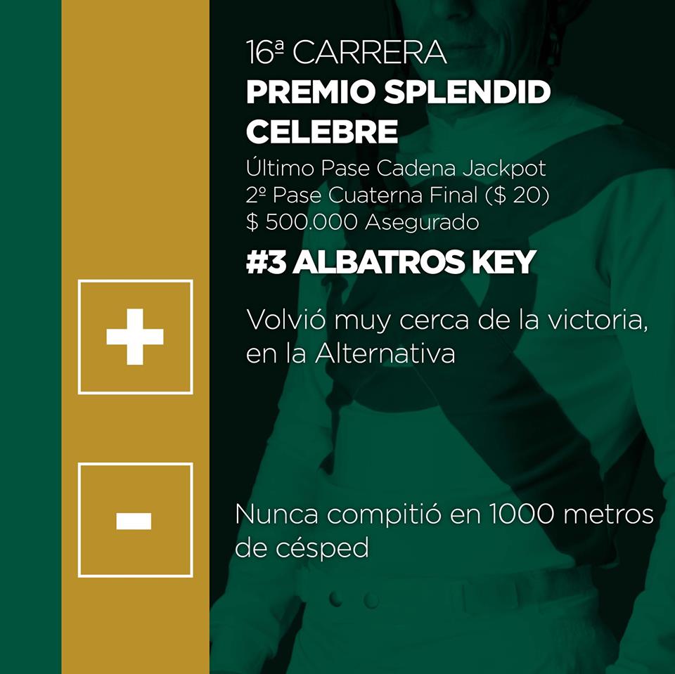 HipodromoSI's tweet photo. #SábadoParaGanar en el @HipodromoSI
Viví tus dos pasiones en #LaCasaDelTurf
@CopaAmerica #SuperPozos y #ClásicoOmega + #CuaternaFinal con $500.000 que arranca en la 15ta.
✔ Te presentamos el #MásMenosHSI de los SPC que participan en dicha prueba. #ApostáAlTrabajo #JugáOficial https://t.co/Cerc4NeF9H