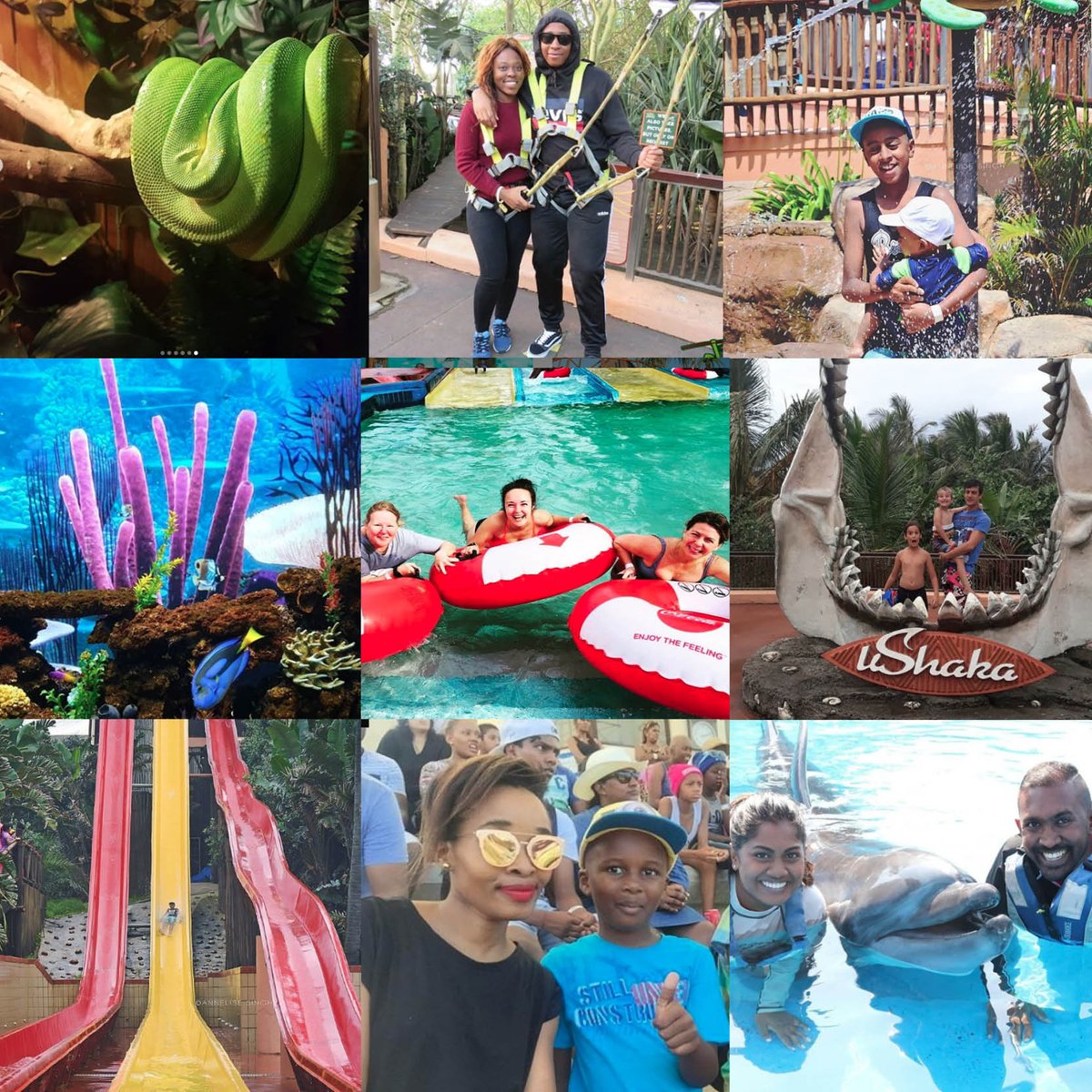 uShakaMarine's tweet photo. Fight the boredom these school holidays & pay R99 for 4 parks! Be awestruck by our majestic animals, be thrilled by our slides & filled with our amazing food this weekend! 💦☀🐬🎉
What's on at uShaka: https://t.co/eao9INV72b
#UnlimitedFun #WhatsOn #BoredomMustFall #FillUpuShaka https://t.co/RVKpCVz7Bh