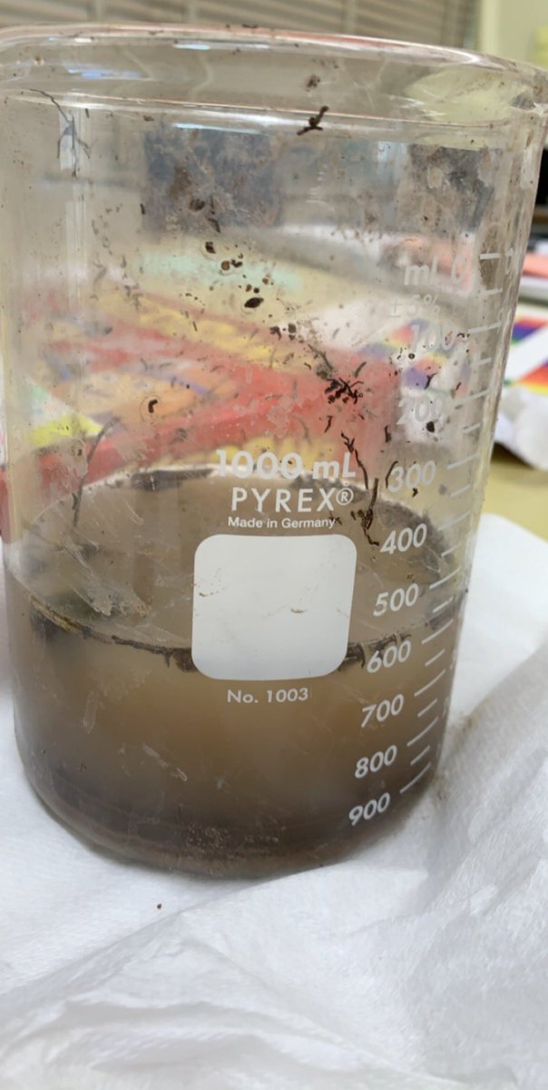 MrVBScience's tweet photo. Winner of the water purification project from period 2! Went from the nasty mess to pretty clear @millburnschools @MillburnMSPrin https://t.co/vcaKFJJeBi