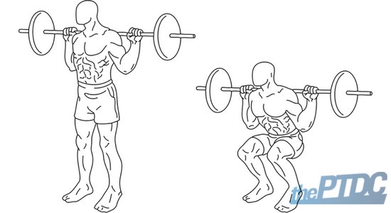 FitnessHacks101's tweet photo. How to Correctly and Properly Assess a Client’s Squat https://t.co/YR9askLEHq https://t.co/o2RapMSUug