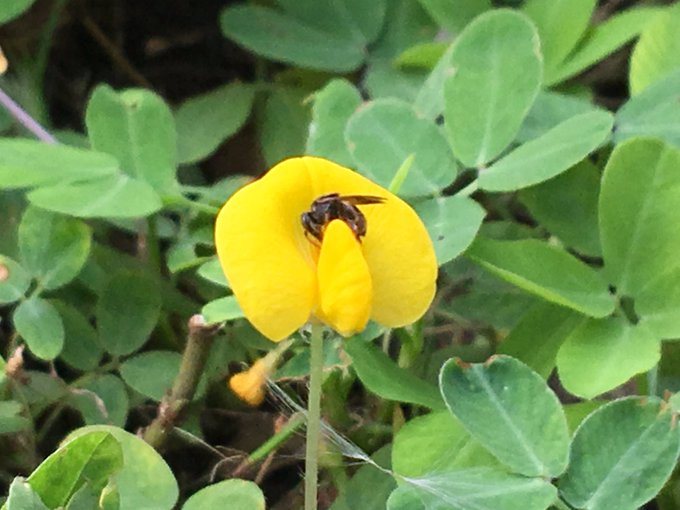 Les dejo esta maravilla po https://t.co/jj8nuYCvPU