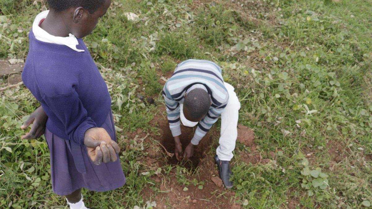 PokotYouthBunge's tweet photo. Lets Go Green! Joining Little ones at Makutano Primary School in Kapenguria didn't only plant trees but committed to grow them During Commemoration of World Environmental Day 2019, each tree won itself 2 caretakers.
,#WorldEnvironmentalDay2019
#EnhancingClimateChange https://t.co/VSjKdYUIAm