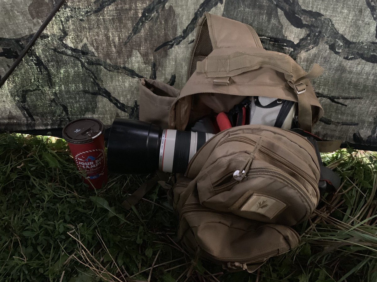 DougManzer's tweet photo. In blind again this morning hoping to catch sight of partridge out for a stroll during #hatchweek @ConserveAlberta @Perdixwildlife @Norwester @Rick_Stamp_ #enchantfarm @CedarglenHomes https://t.co/L1lFITUukB