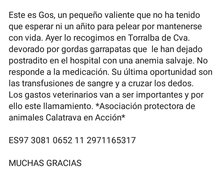 Calatrava en Acción tweet media