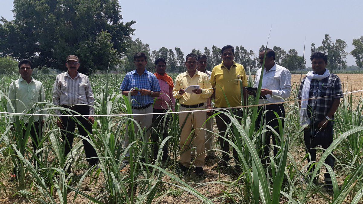 DCO SITAPUR tweet media