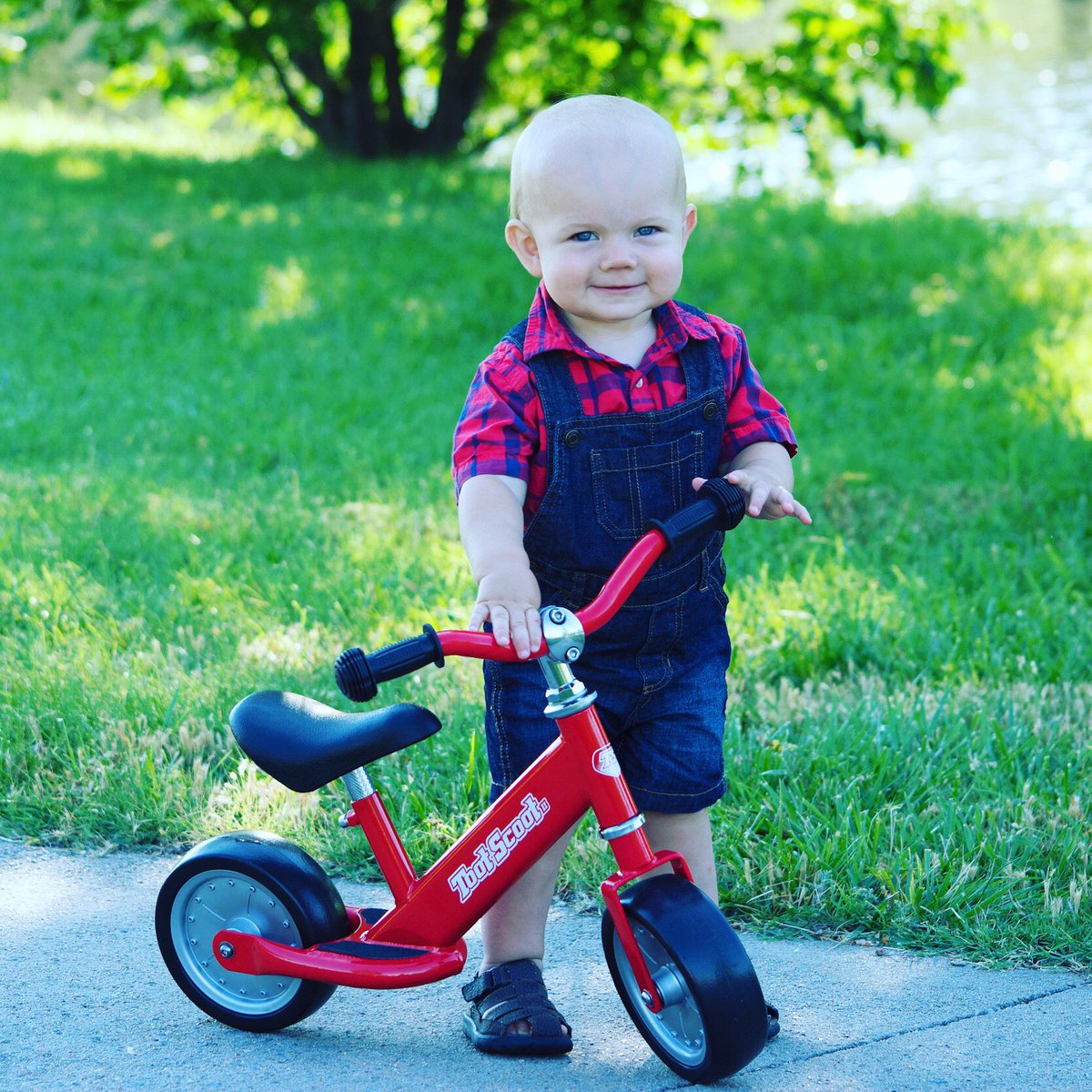 toot scoot balance bike