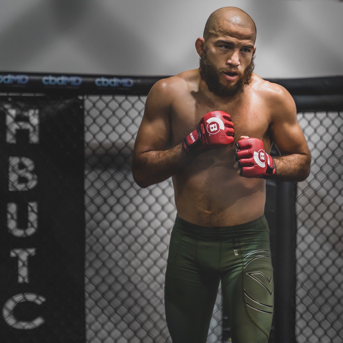 HB Ultimate (@hbutc) on Twitter photo IT’S FIGHT DAY! 🙌
Don’t miss <a href="/jarchmma/">Juan Archuleta</a> inside the <a href="/BellatorMMA/">Bellator MMA</a> cage tonight at <a href="/TheGarden/">MSG</a>. #Bellator222 #hbutcpro IT’S FIGHT DAY! 🙌
Don’t miss <a href="/jarchmma/">Juan Archuleta</a> inside the <a href="/BellatorMMA/">Bellator MMA</a> cage tonight at <a href="/TheGarden/">MSG</a>. #Bellator222 #hbutcpro