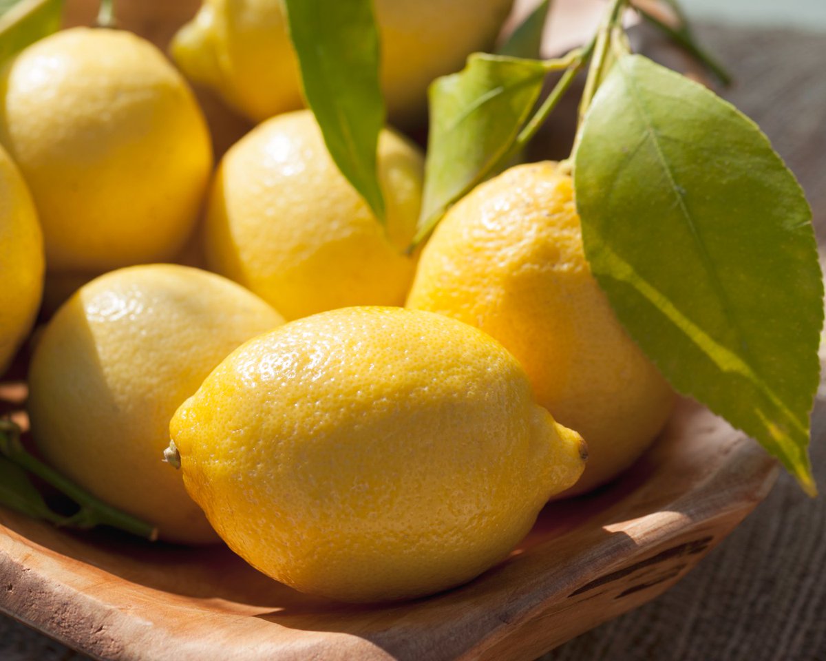 RAYASPA's tweet photo. Lemons are amazing. Not only do they contain vitamin C, which brightens the skin, but they also have strong cleansing, decongestive, and exfoliating abilities! 🍋👏🙌

#raya #rayaspa #skincare #selfcare #welovelemons #lemons #vitaminc #exfoliator #detox https://t.co/ld95r5gA1K