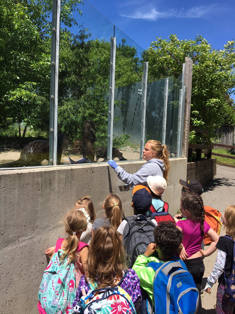 Amazing day learning about animals and having fun at the <a href="/RiverviewZoo/">Riverview Park & Zoo</a> with our Royal Kindergarten students today!! <a href="/infoAlexandraPS/">Alexandra PS</a>